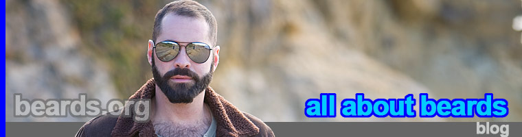all about beards blog