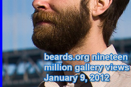 nineteen million beards.org gallery views