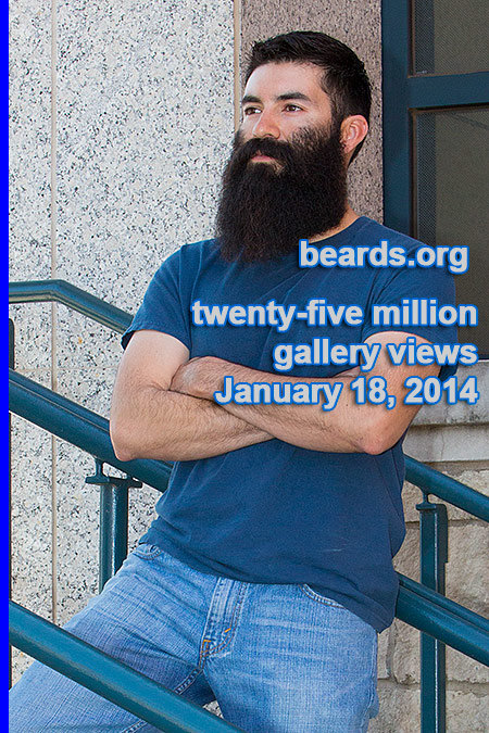Twenty-five million beard gallery views
